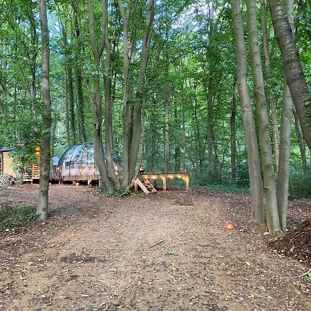 Le Dome De Namur - Une Nuit Insolite Dans Les Bois Bagian luar foto
