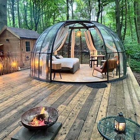 Le Dome De Namur - Une Nuit Insolite Dans Les Bois Bagian luar foto