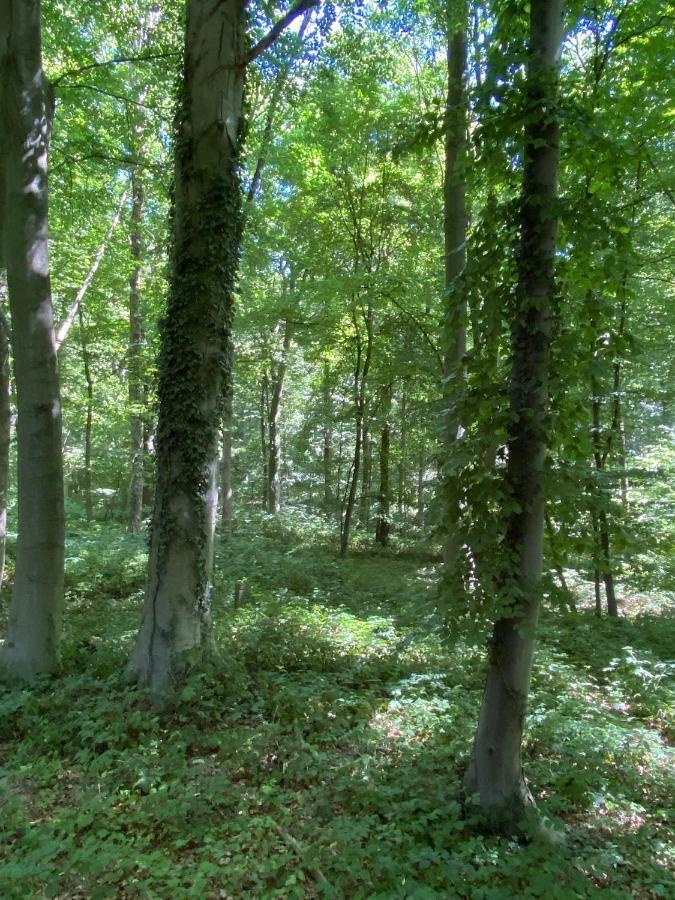 Le Dome De Namur - Une Nuit Insolite Dans Les Bois Bagian luar foto