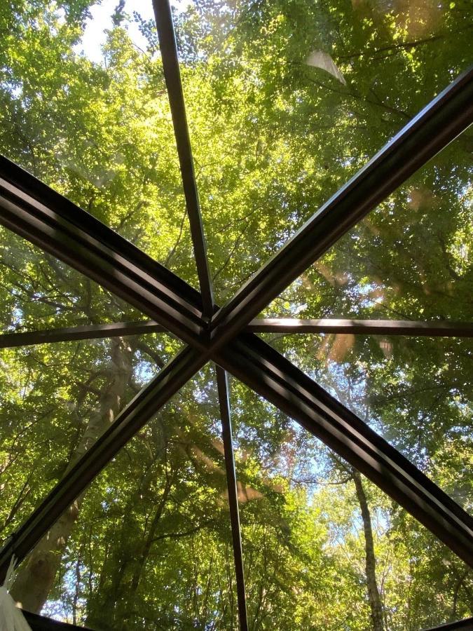 Le Dome De Namur - Une Nuit Insolite Dans Les Bois Bagian luar foto