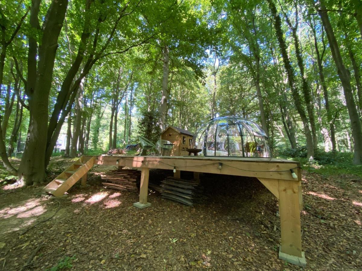 Le Dome De Namur - Une Nuit Insolite Dans Les Bois Bagian luar foto