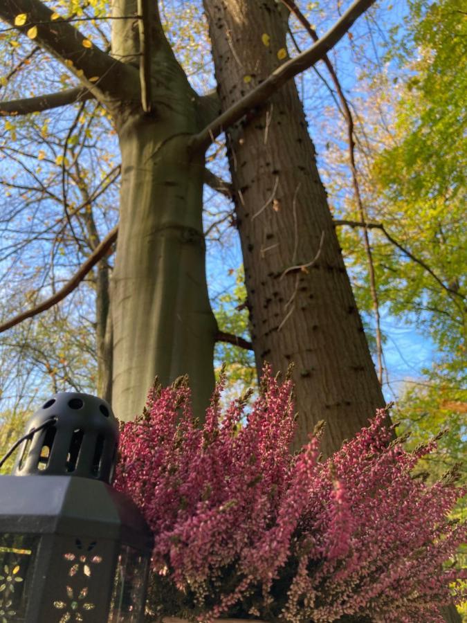 Le Dome De Namur - Une Nuit Insolite Dans Les Bois Bagian luar foto