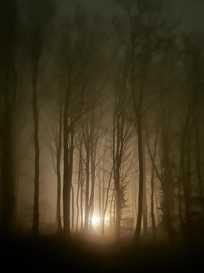 Le Dome De Namur - Une Nuit Insolite Dans Les Bois Bagian luar foto