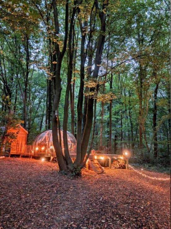 Le Dome De Namur - Une Nuit Insolite Dans Les Bois Bagian luar foto