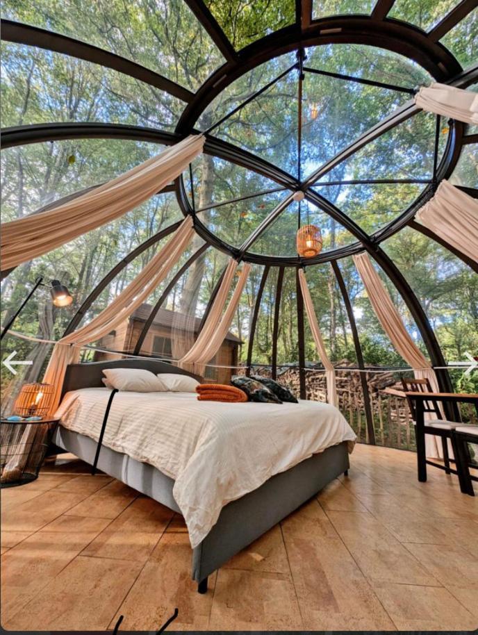 Le Dome De Namur - Une Nuit Insolite Dans Les Bois Bagian luar foto