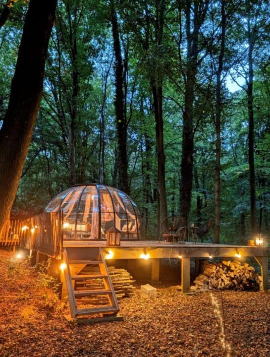 Le Dome De Namur - Une Nuit Insolite Dans Les Bois Bagian luar foto