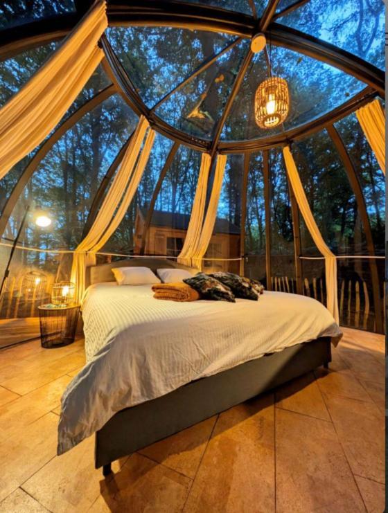 Le Dome De Namur - Une Nuit Insolite Dans Les Bois Bagian luar foto